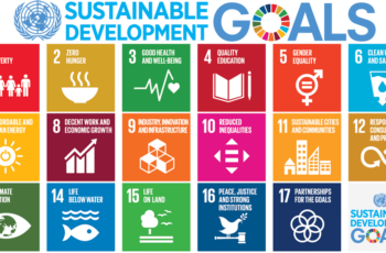 Describe How Local Government Could Be Transparent When It Engages Communities for Sustainable Provision of Water Services to Different Communal Areas